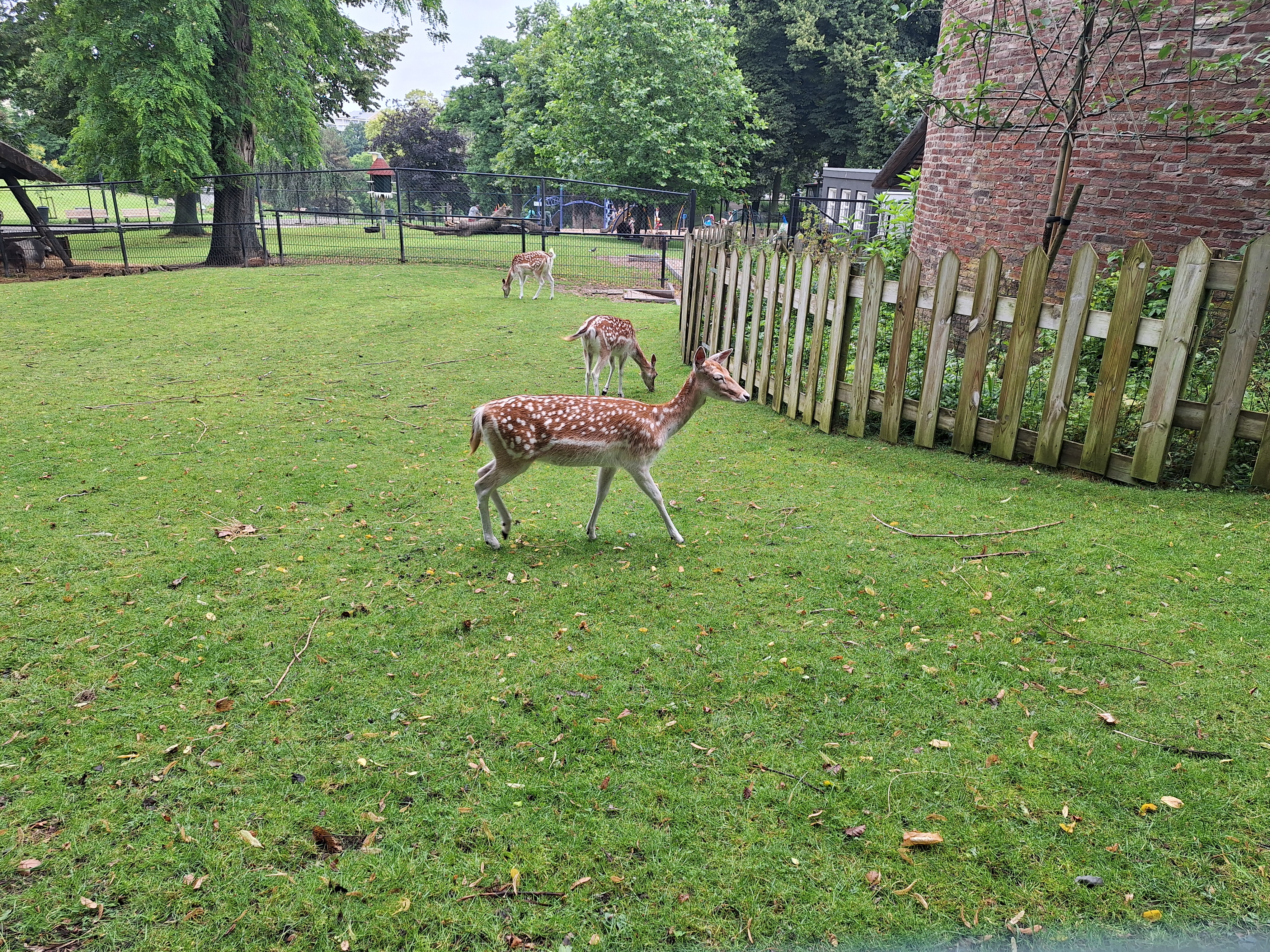 Kronenburgerpark 照片 12